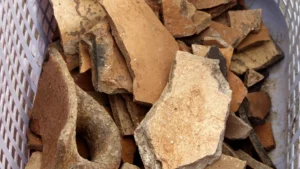 Archäologische Funde im urbanen Raum: Herausforderungen und Chancen